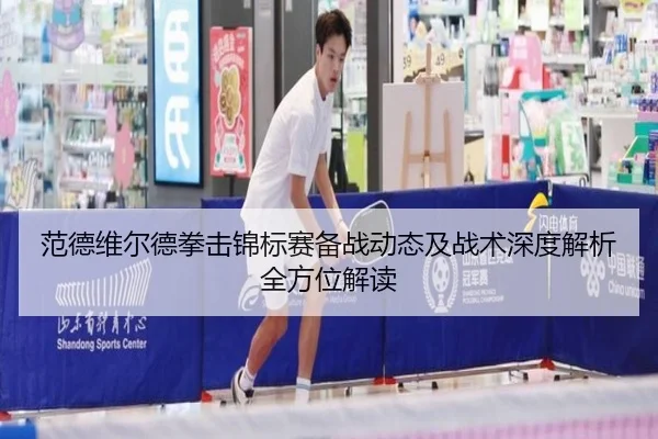 范德维尔德拳击锦标赛备战动态及战术深度解析全方位解读
